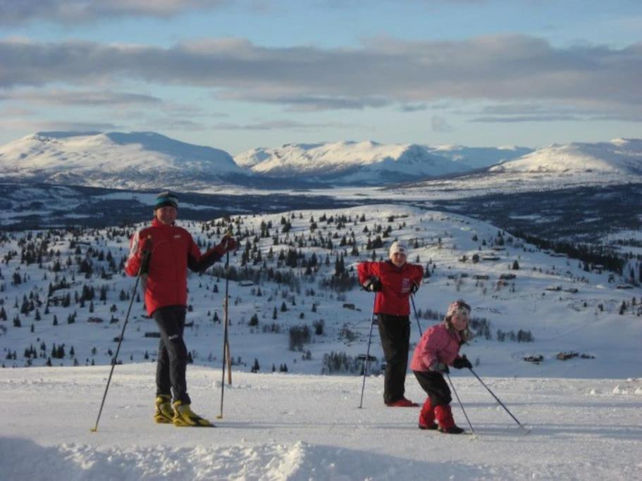 Flott Fritidsleilighet I Bualie Pa Golsfjellet Exterior foto